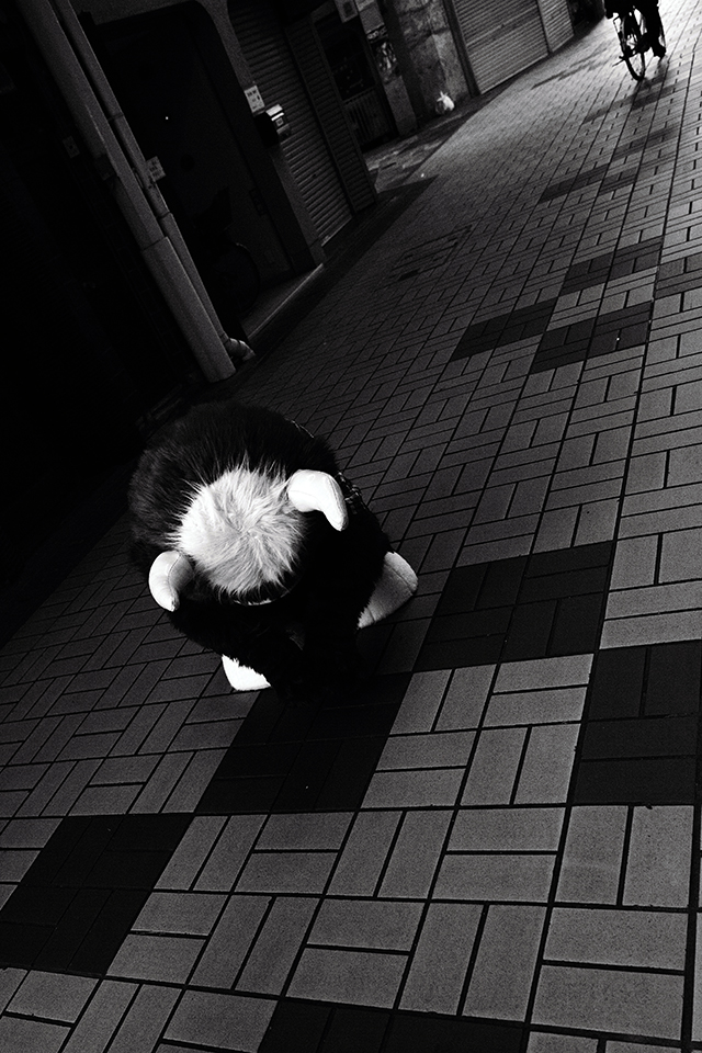 c0115616_1751553.jpg