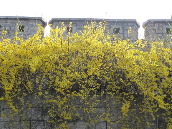 e0201021_21365769.jpg