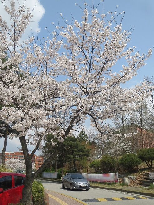 e0201021_21473932.jpg