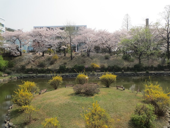 e0201021_2211392.jpg