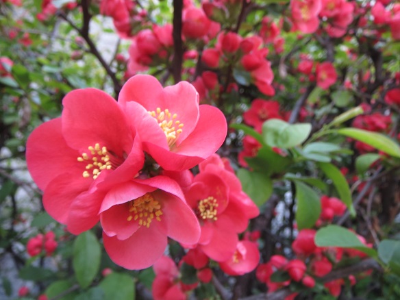 e0201021_22241547.jpg