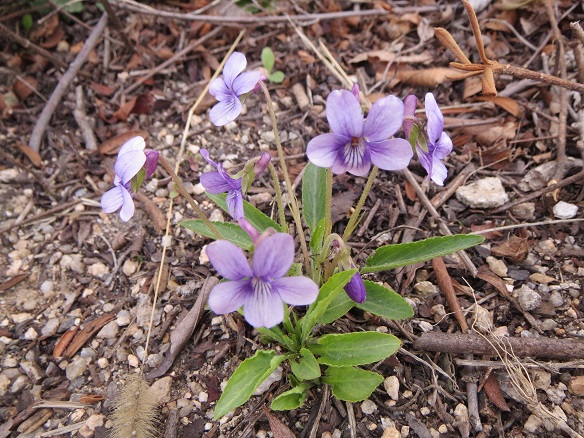 e0201021_22321117.jpg