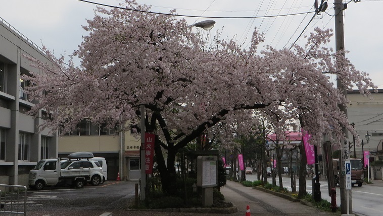c0280322_17423973.jpg