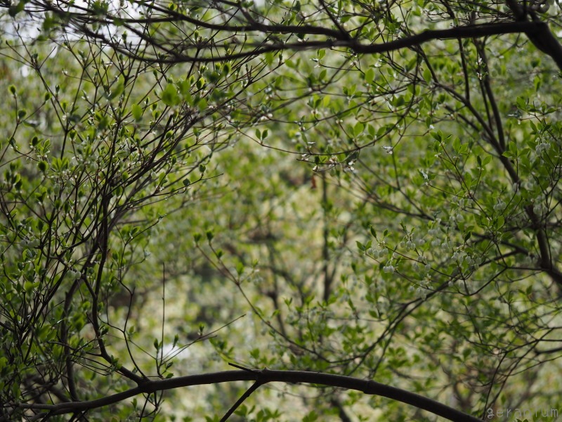 c0133533_21514234.jpg