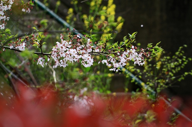 a0242438_18282095.jpg