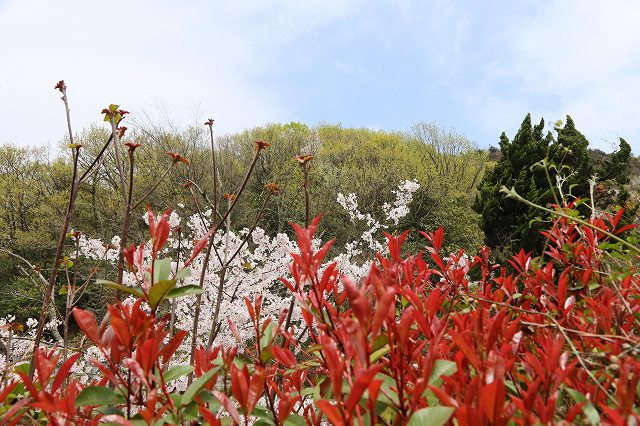a0242438_18295888.jpg