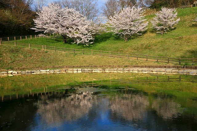 a0242438_18313289.jpg