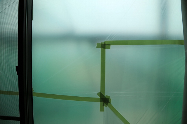 a0242438_18322983.jpg