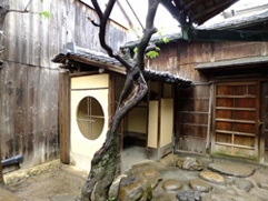 a0100742_10184366.jpg
