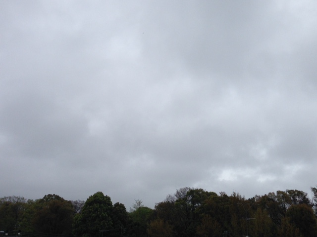 e0206242_20185023.jpg