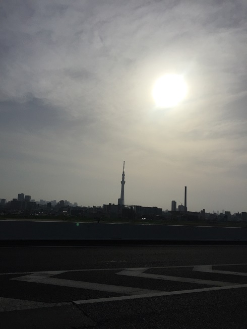 e0201748_82497.jpg