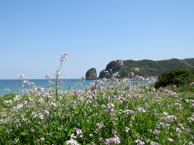 f0214649_3353691.jpg