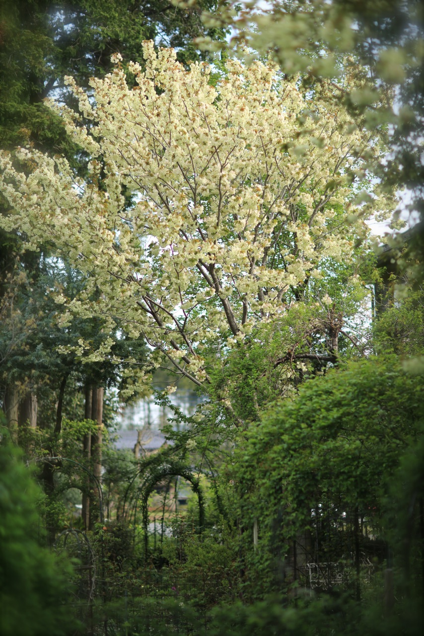 b0168859_7391336.jpg