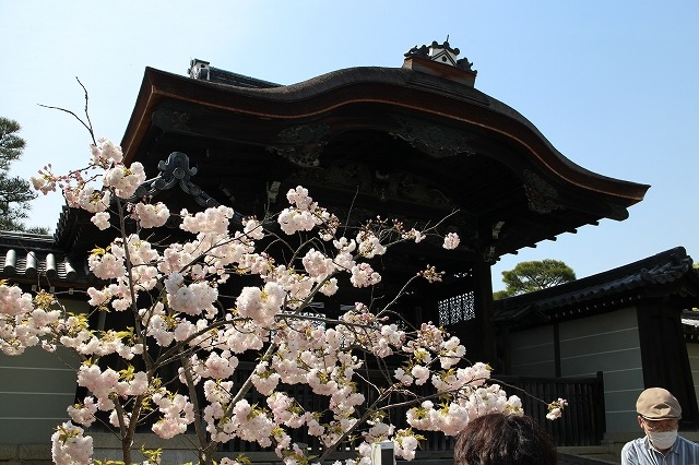 b0044663_15472927.jpg