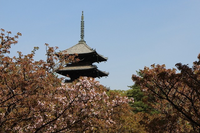 b0044663_15483873.jpg