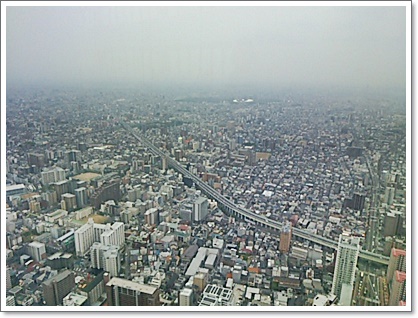 a0026567_16563268.jpg