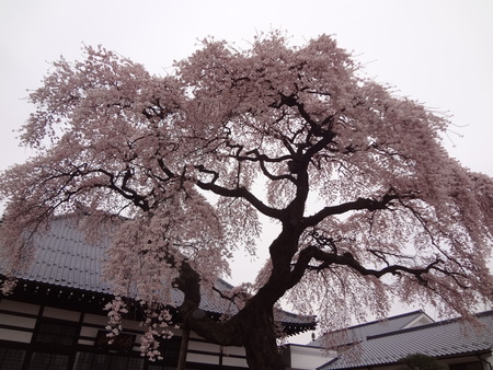 b0084468_23203486.jpg