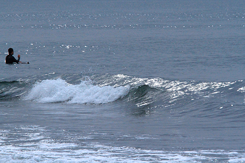 a0157069_1252619.jpg