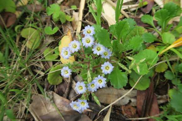e0292172_20524141.jpg