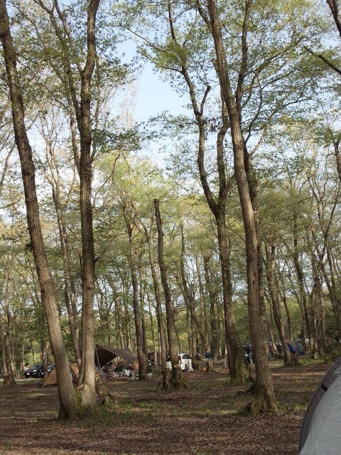 c0329075_12121375.jpg