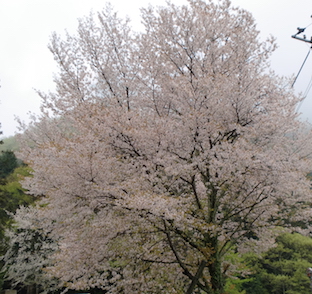 a0234877_16193921.jpg