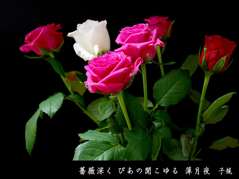 c0009981_328110.jpg