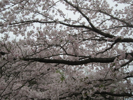 a0281590_12353549.jpg