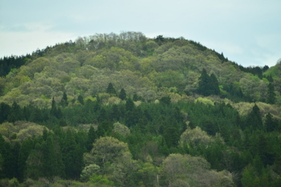 d0234293_18275754.jpg