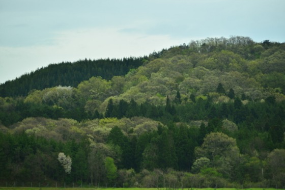 d0234293_18302091.jpg