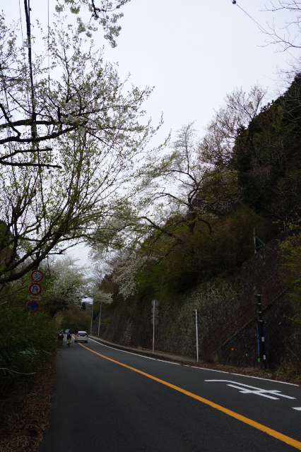 d0081997_20294036.jpg