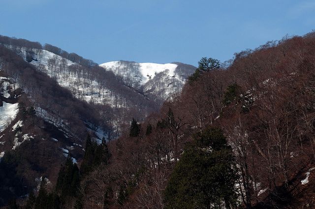 e0137200_22553862.jpg