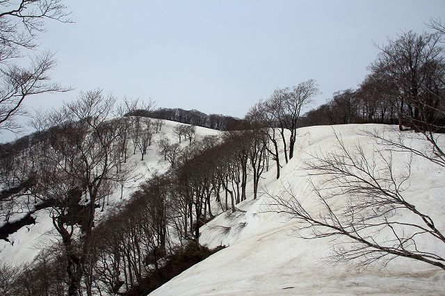 e0137200_2259851.jpg