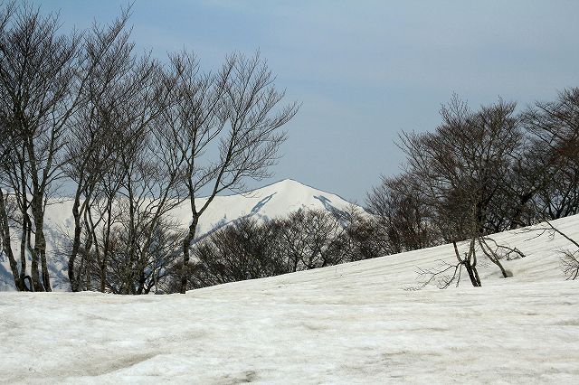 e0137200_230593.jpg