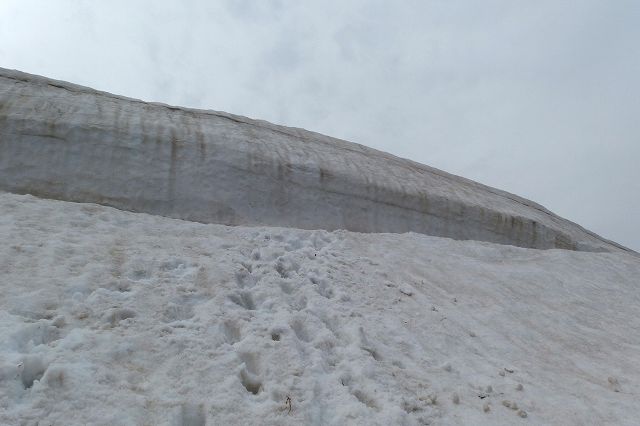 e0137200_2311174.jpg