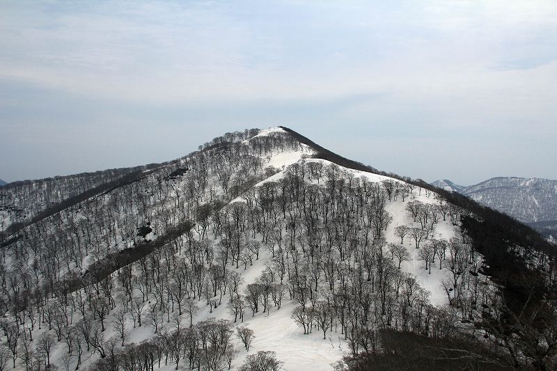e0137200_238929.jpg
