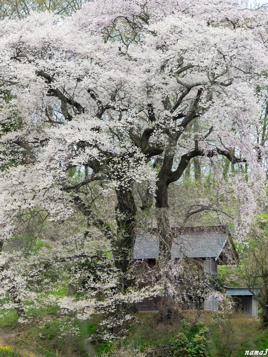f0224100_21272863.jpg
