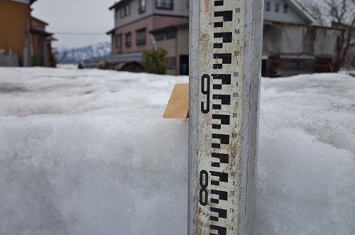 c0336902_102177.jpg