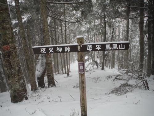 b0326303_17240331.jpg