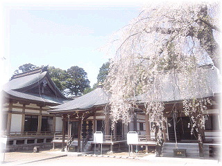 d0137604_10415953.jpg