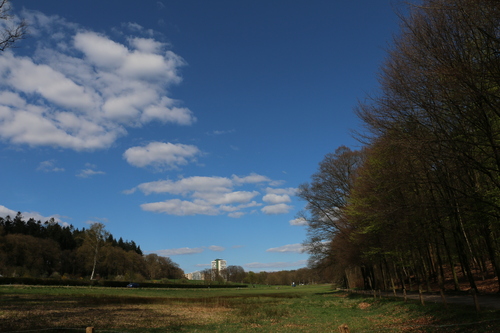 d0255405_7394169.jpg