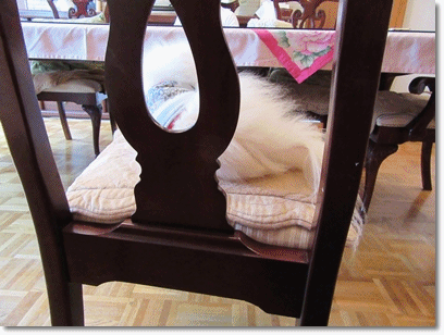 b0167519_934219.gif
