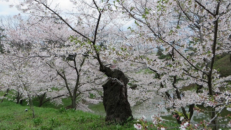 c0280322_14323940.jpg