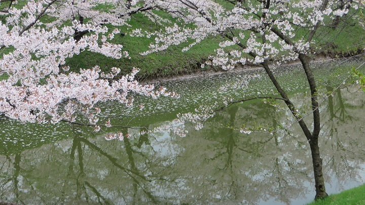 c0280322_14324644.jpg