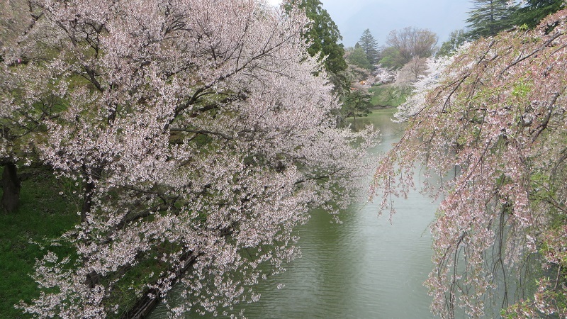 c0280322_14331554.jpg