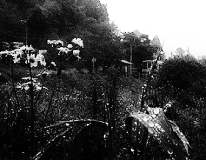 b0252727_252176.jpg