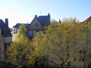 c0180339_0215250.jpg