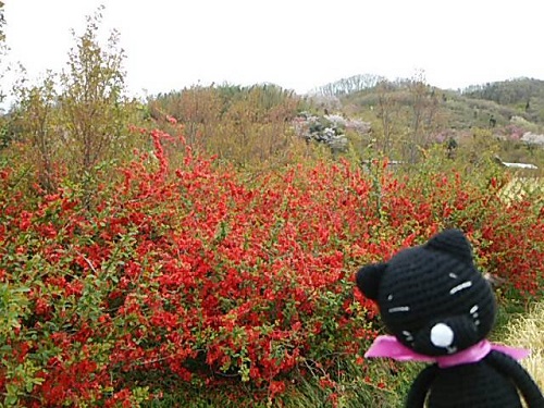 a0250740_8523774.jpg
