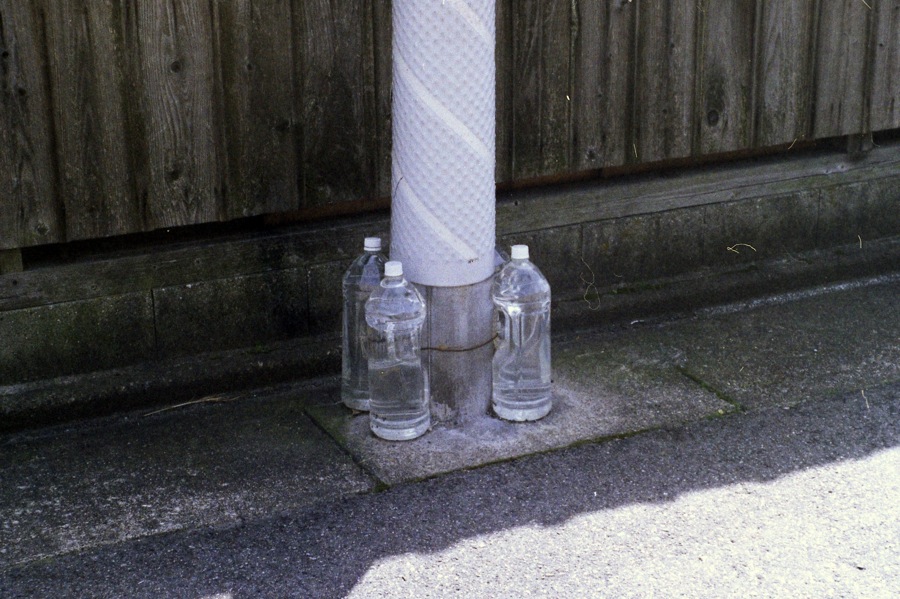 d0089742_2353113.jpg