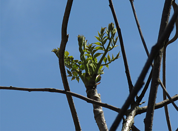 f0214649_1722501.jpg