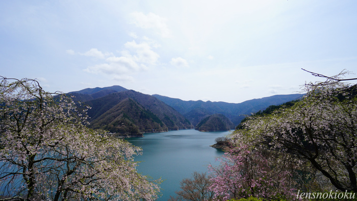 c0350754_2092091.jpg